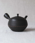 Handmade Japanese teapot. Made in Tokoname, Japan - Hokuryu 350 mL.