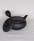 Handmade Japanese teapot. Made in Tokoname, Japan - Horyu 320 mL.