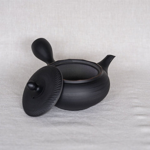 Handmade Japanese teapot. Made in Tokoname, Japan - Horyu 320 mL.