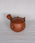 Handmade Japanese teapot. Made in Tokoname, Japan - Gyokuryu 240 mL