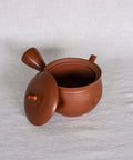 Handmade Japanese teapot. Made in Tokoname, Japan - Gyokuryu 240 mL
