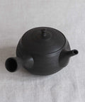 Handmade Japanese teapot. Made in Tokoname, Japan - Hokuryu 350 mL.