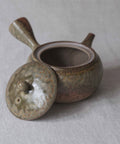 Handmade Japanese teapot. Made in Tokoname, Japan - Isshin 380 mL.